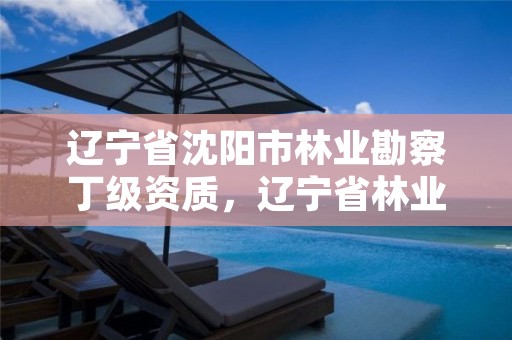 辽宁省沈阳市林业勘察丁级资质,辽宁省林业调查规划监测院