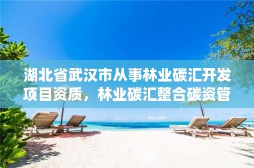 湖北省武汉市从事林业碳汇开发项目资质，林业碳汇整合碳资管上市公司