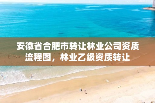 安徽省合肥市转让林业公司资质流程图,林业乙级资质转让