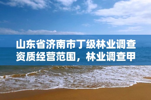 山东省济南市丁级林业调查资质经营范围,林业调查甲级资质