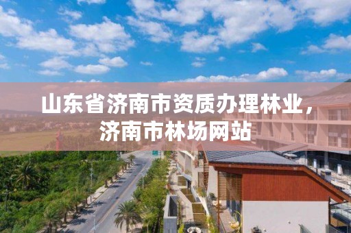 山东省济南市资质办理林业,济南市林场网站