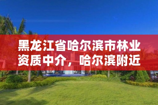 黑龙江省哈尔滨市林业资质中介,哈尔滨附近的林业局