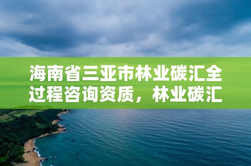 海南省三亚市林业碳汇全过程咨询资质,林业碳汇资源项目开发的公司