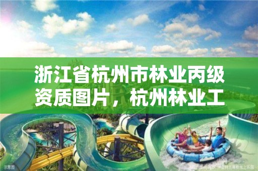 浙江省杭州市林业丙级资质图片，杭州林业工程师
