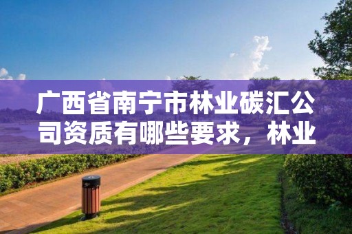 广西省南宁市林业碳汇公司资质有哪些要求,林业碳汇项目审定和核证指南