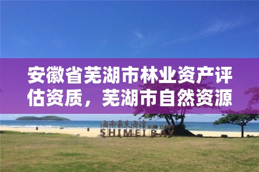 安徽省芜湖市林业资产评估资质,芜湖市自然资源和规划局林业局