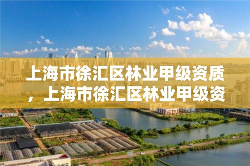 上海市徐汇区林业甲级资质,上海市徐汇区林业甲级资质公司名单