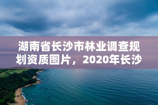 湖南省长沙市林业调查规划资质图片，2020年长沙林业局招聘公告