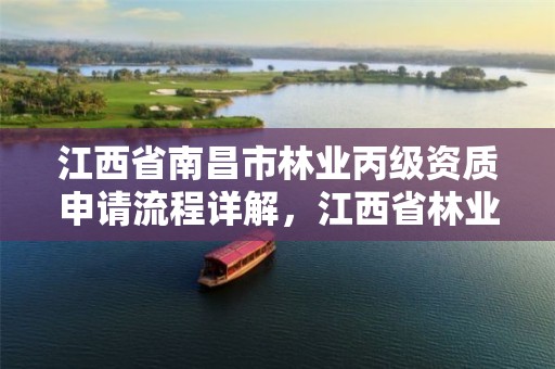 江西省南昌市林业丙级资质申请流程详解,江西省林业工程师申报条件