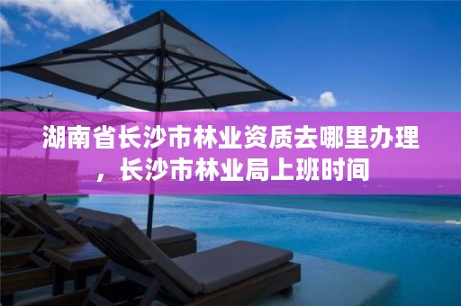 湖南省长沙市林业资质去哪里办理,长沙市林业局上班时间