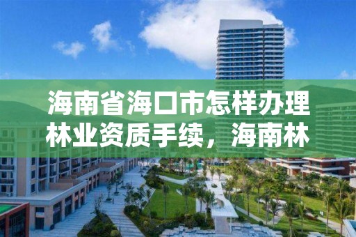 海南省海口市怎样办理林业资质手续,海南林业局电话是多少?