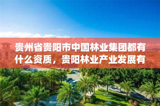 贵州省贵阳市中国林业集团都有什么资质,贵阳林业产业发展有限公司待遇