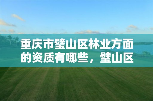 重庆市璧山区林业方面的资质有哪些,璧山区林业局人员名单