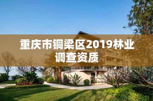 重庆市铜梁区2019林业调查资质