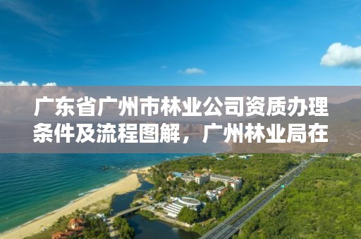 广东省广州市林业公司资质办理条件及流程图解,广州林业局在哪里
