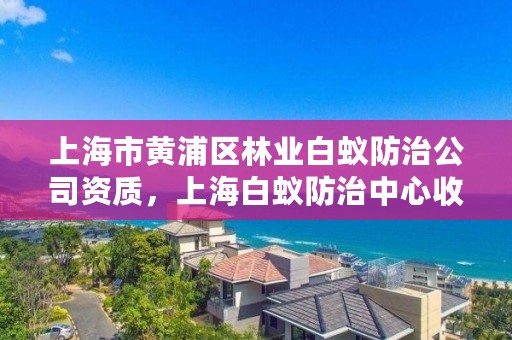 上海市黄浦区林业白蚁防治公司资质,上海白蚁防治中心收费吗