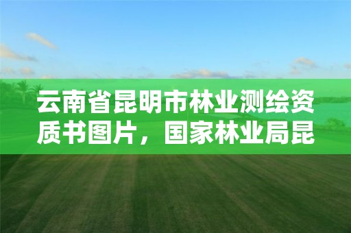 云南省昆明市林业测绘资质书图片,国家林业局昆明勘察设计院官网