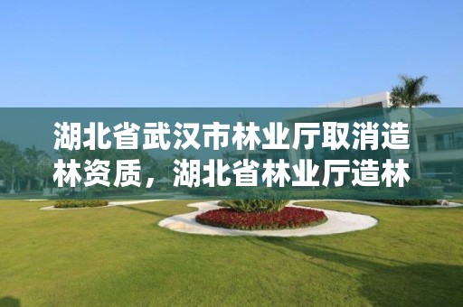 湖北省武汉市林业厅取消造林资质,湖北省林业厅造林处