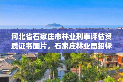 河北省石家庄市林业刑事评估资质证书图片,石家庄林业局招标公告