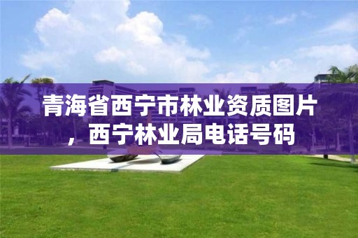 青海省西宁市林业资质图片，西宁林业局电话号码