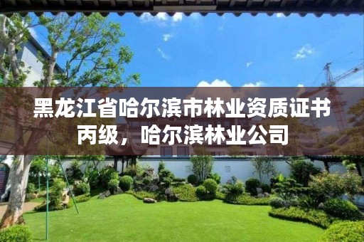 黑龙江省哈尔滨市林业资质证书丙级,哈尔滨林业公司