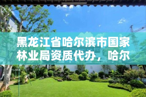 黑龙江省哈尔滨市国家林业局资质代办,哈尔滨林业局举报电话是多少