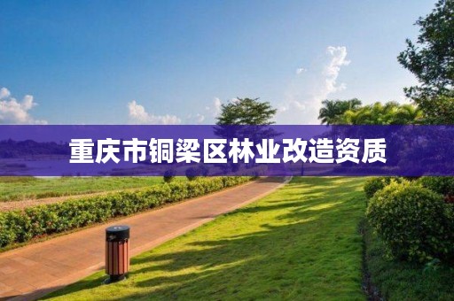 重庆市铜梁区林业改造资质