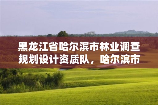 黑龙江省哈尔滨市林业调查规划设计资质队,哈尔滨市林业设计院