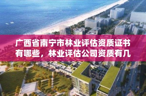 广西省南宁市林业评估资质证书有哪些,林业评估公司资质有几类
