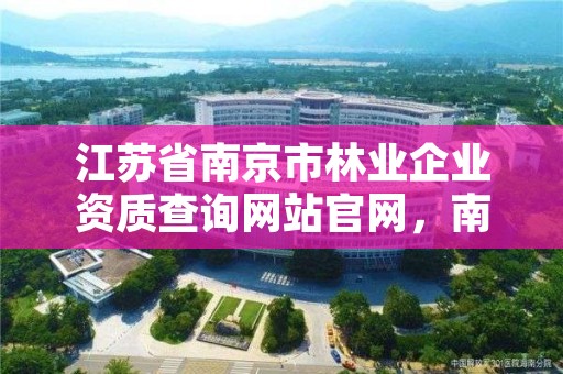 江苏省南京市林业企业资质查询网站官网,南京林业局官网