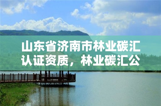 山东省济南市林业碳汇认证资质,林业碳汇公司有哪几家