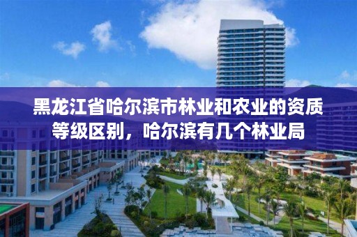 黑龙江省哈尔滨市林业和农业的资质等级区别,哈尔滨有几个林业局