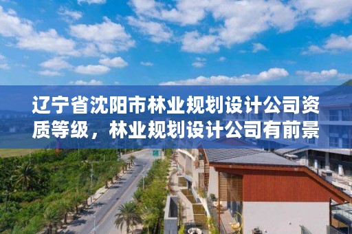辽宁省沈阳市林业规划设计公司资质等级,林业规划设计公司有前景吗