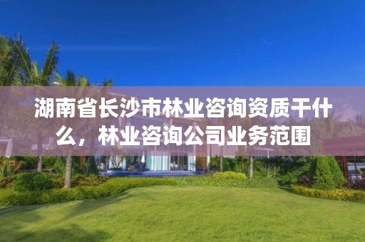 湖南省长沙市林业咨询资质干什么,林业咨询公司业务范围