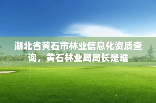 湖北省黄石市林业信息化资质查询,黄石林业局局长是谁