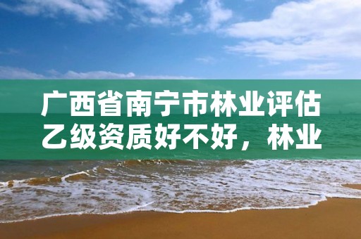 广西省南宁市林业评估乙级资质好不好,林业评估资质证书