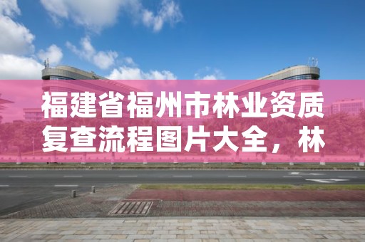 福建省福州市林业资质复查流程图片大全，林业证查询系统