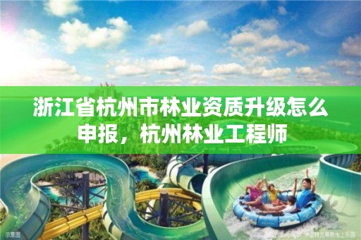 浙江省杭州市林业资质升级怎么申报，杭州林业工程师