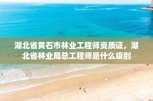 湖北省黄石市林业工程师资质证,湖北省林业局总工程师是什么级别