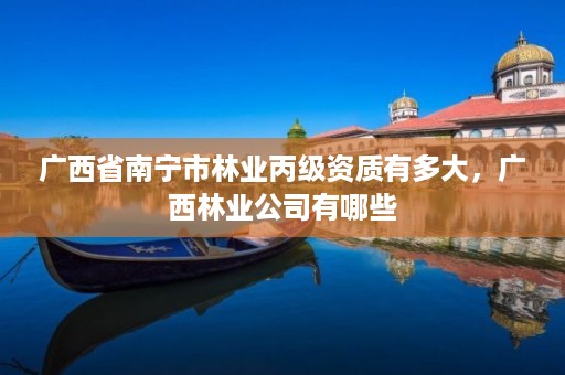 广西省南宁市林业丙级资质有多大,广西林业公司有哪些