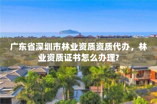 广东省深圳市林业资质资质代办，林业资质证书怎么办理?