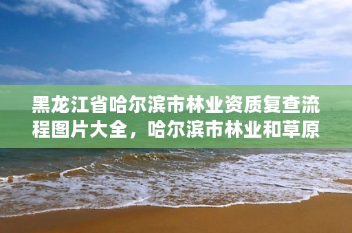 黑龙江省哈尔滨市林业资质复查流程图片大全,哈尔滨市林业和草原局官网