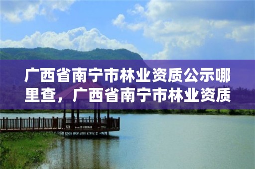 广西省南宁市林业资质公示哪里查,广西省南宁市林业资质公示哪里查到