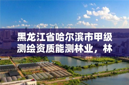黑龙江省哈尔滨市甲级测绘资质能测林业,林业勘察测绘资质