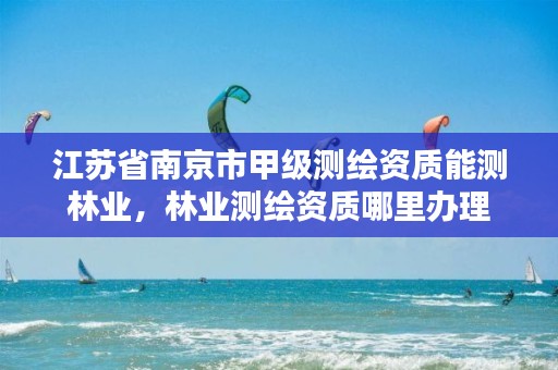 江苏省南京市甲级测绘资质能测林业，林业测绘资质哪里办理