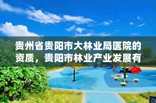 贵州省贵阳市大林业局医院的资质,贵阳市林业产业发展有限公司