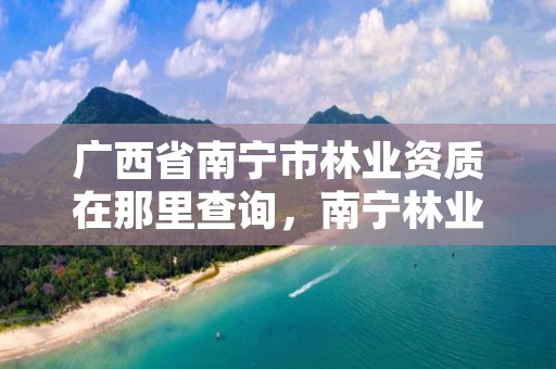 广西省南宁市林业资质在那里查询,南宁林业公司