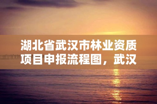 湖北省武汉市林业资质项目申报流程图,武汉市林业发展有限责任公司