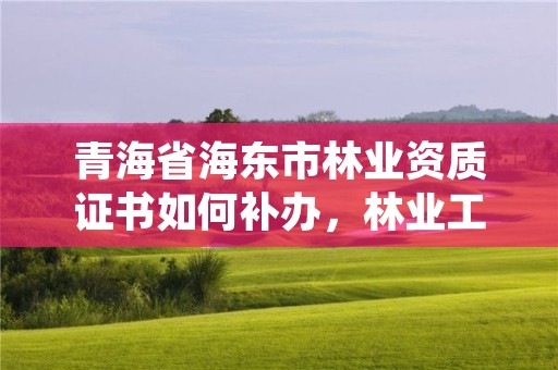 青海省海东市林业资质证书如何补办，林业工程资质在哪办