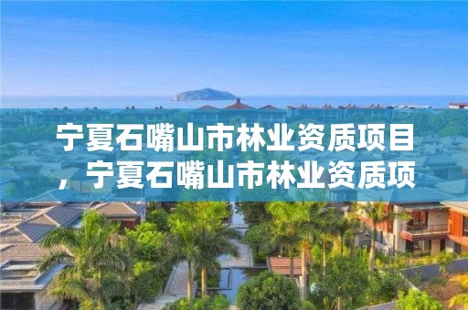 宁夏石嘴山市林业资质项目,宁夏石嘴山市林业资质项目有哪些